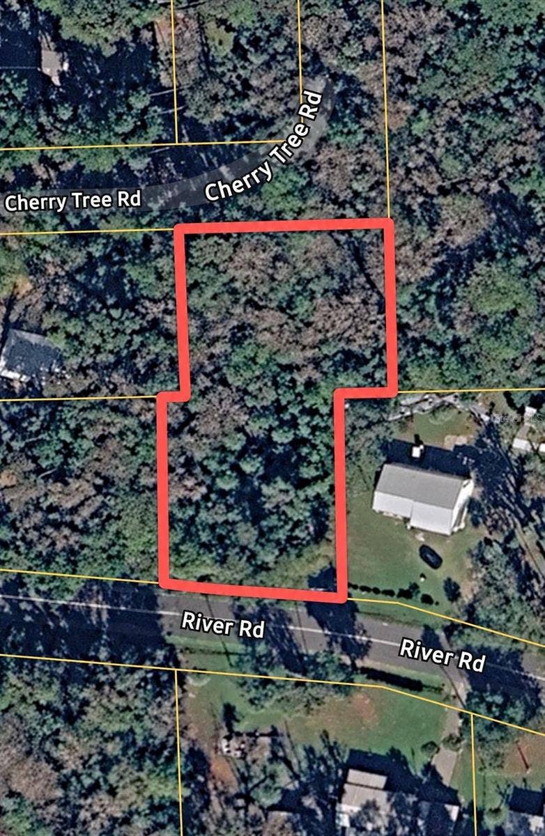 RIVER ROAD, Astor, FL 32102 Aerial