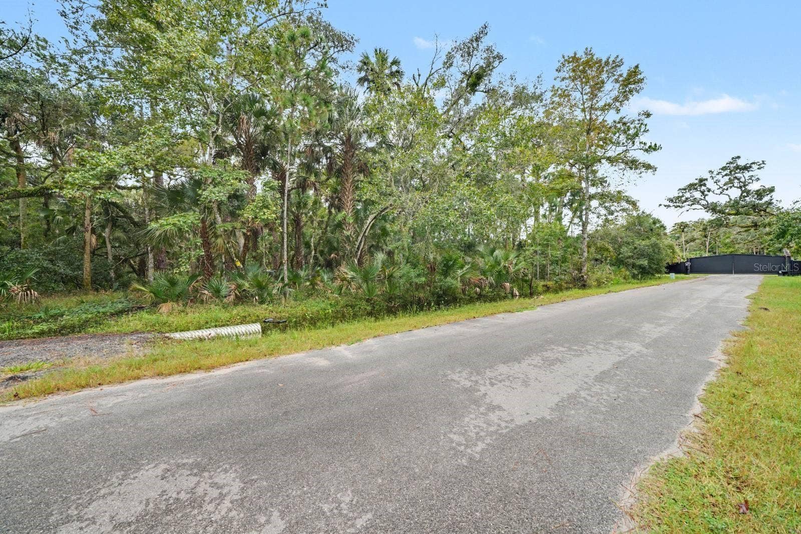 1215 TALL PINES DRIVE, Osteen, FL 32764
