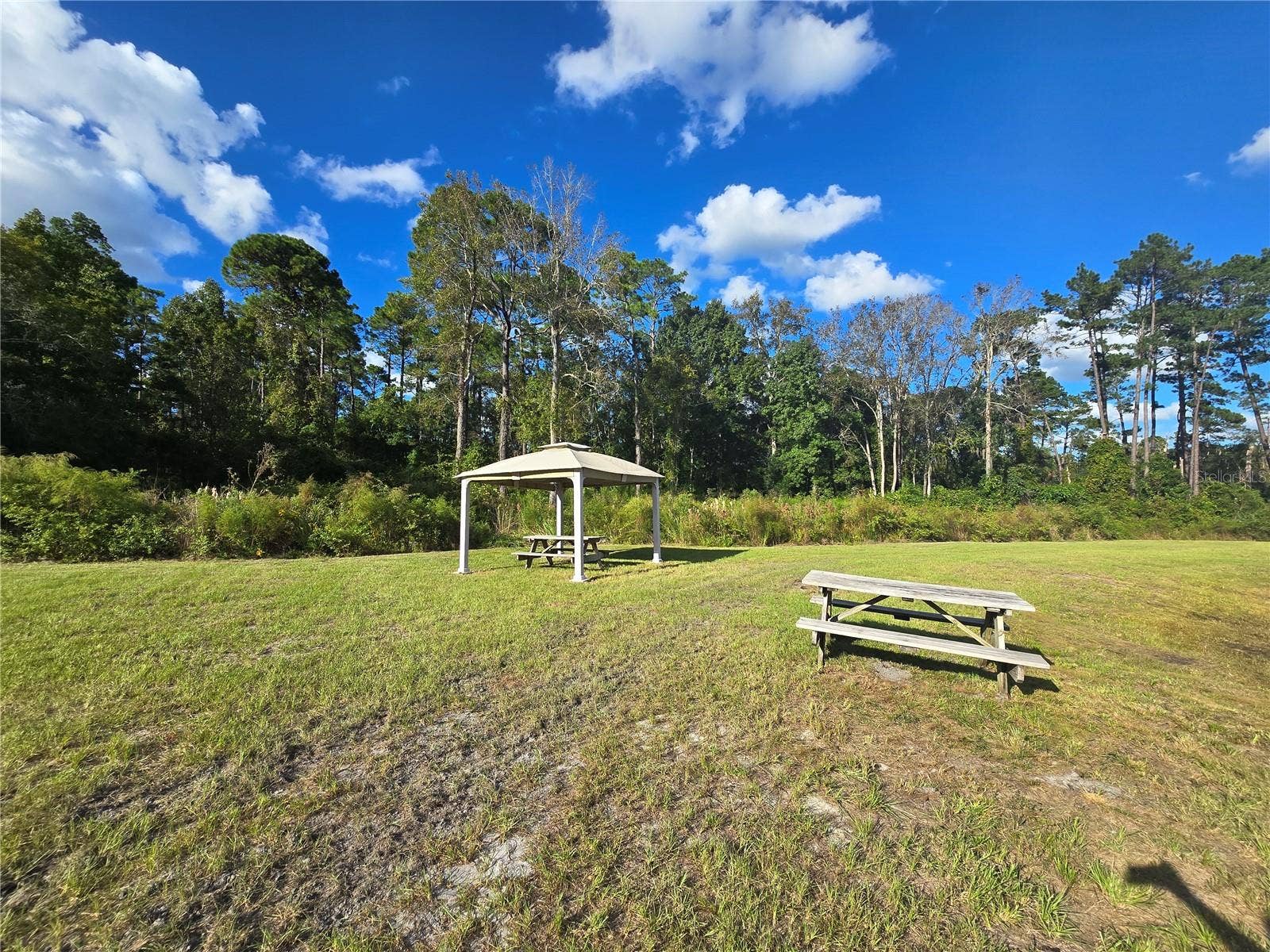 160 W HAGSTROM ROAD, Pierson, FL 32180 Rear of Property/Pond