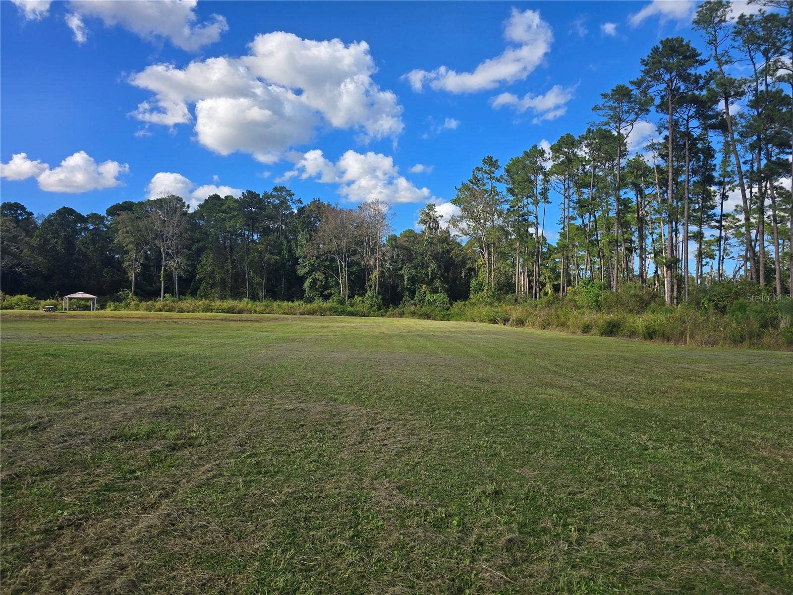 160 W HAGSTROM ROAD, Pierson, FL 32180 Front Right of Property