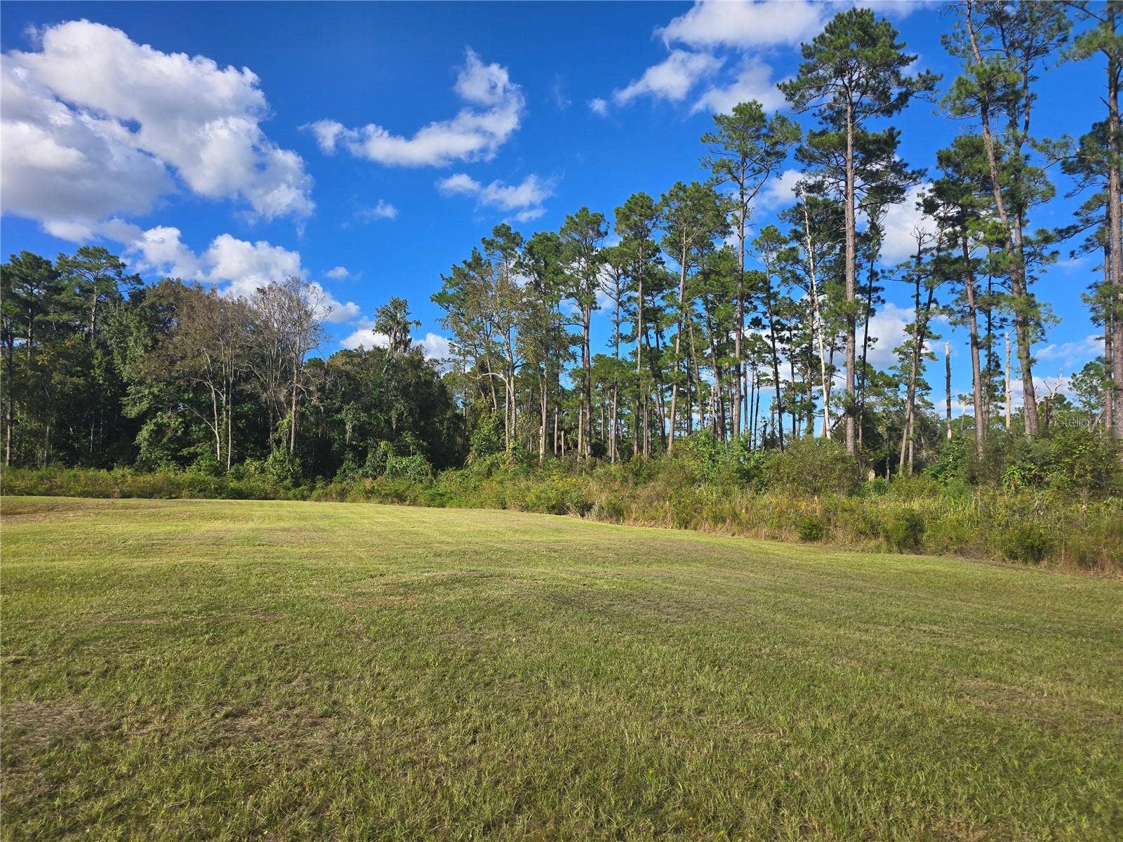 160 W HAGSTROM ROAD, Pierson, FL 32180 Right Rear of Property