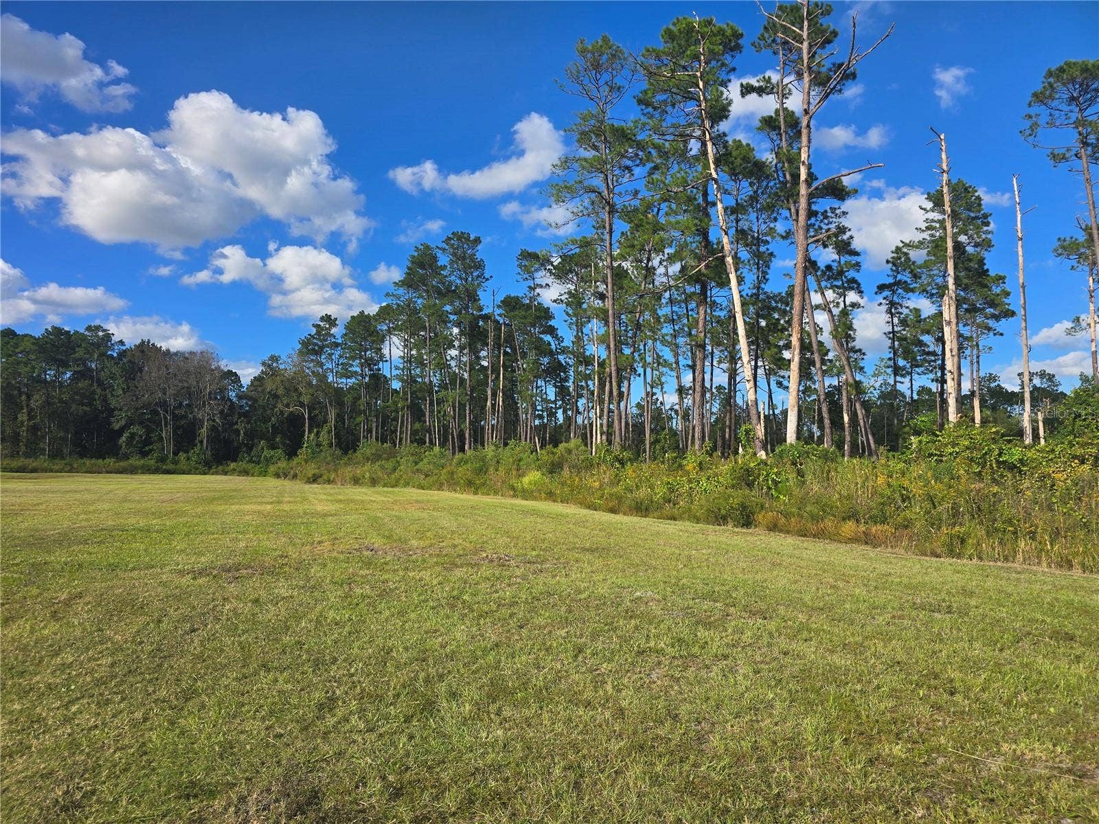 160 W HAGSTROM ROAD, Pierson, FL 32180 Right Side of Property