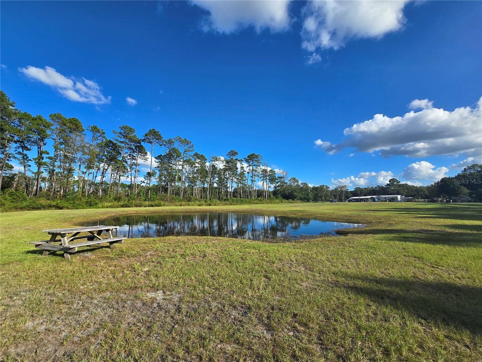 160 W HAGSTROM ROAD, Pierson, FL 32180 Rear of Property