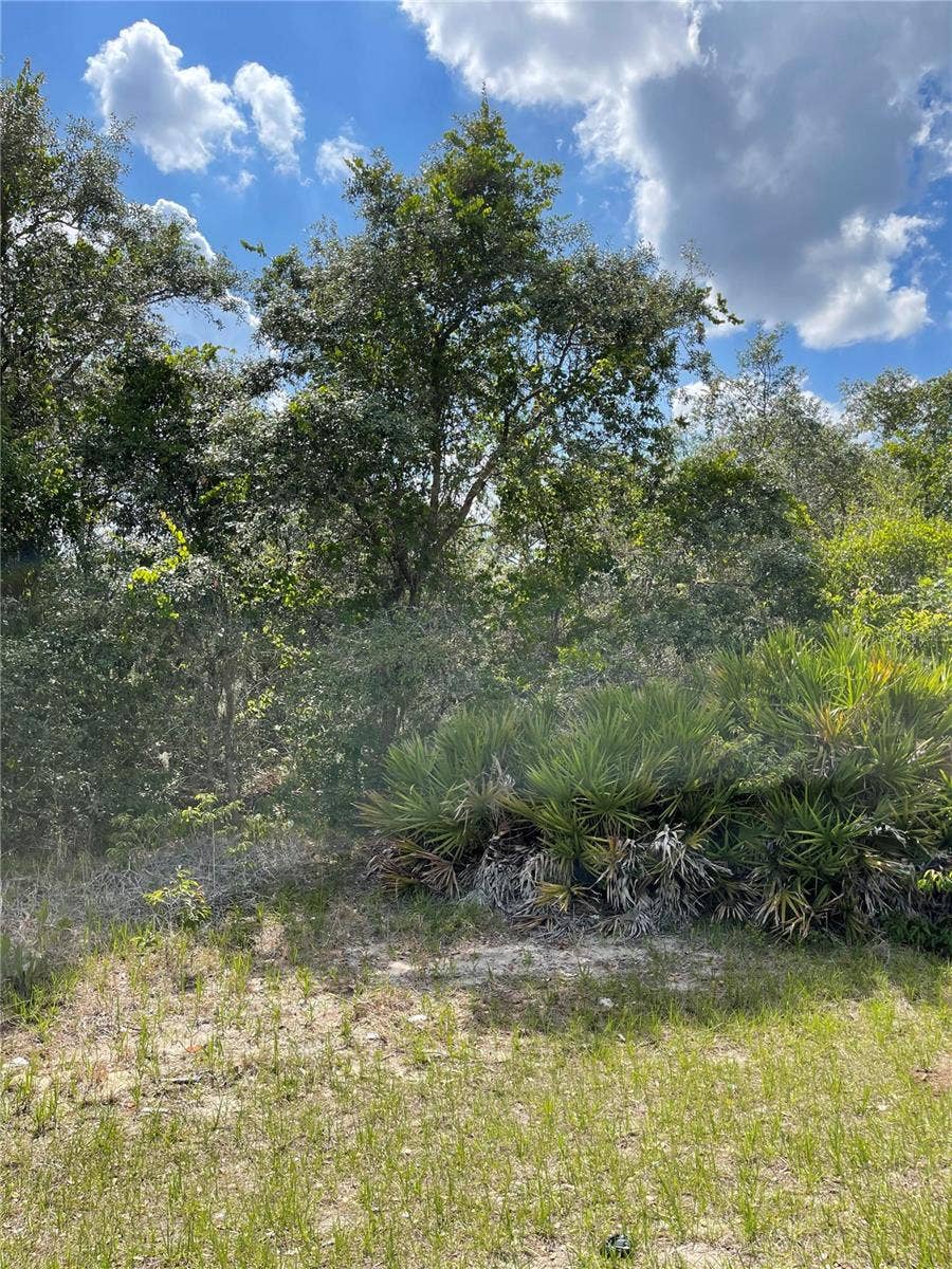 Property photo for 615 MEDITERRANEAN COURT, Poinciana, FL