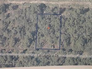 Property photo for 0 CALLIANDRA DRIVE, Indian Lake Estates, FL