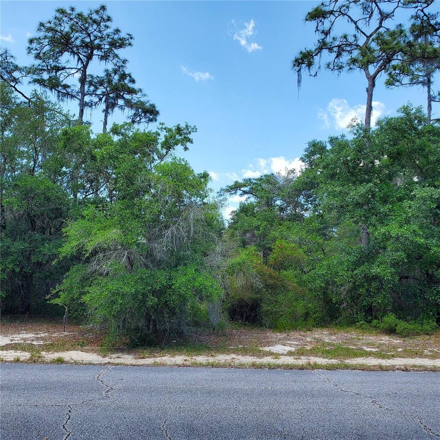 Property photo for 1345 ST AUGUSTINE COURT, Kissimmee, FL