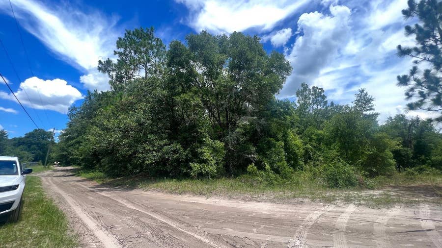 Property photo for SW 156TH PLACE, Dunnellon, FL