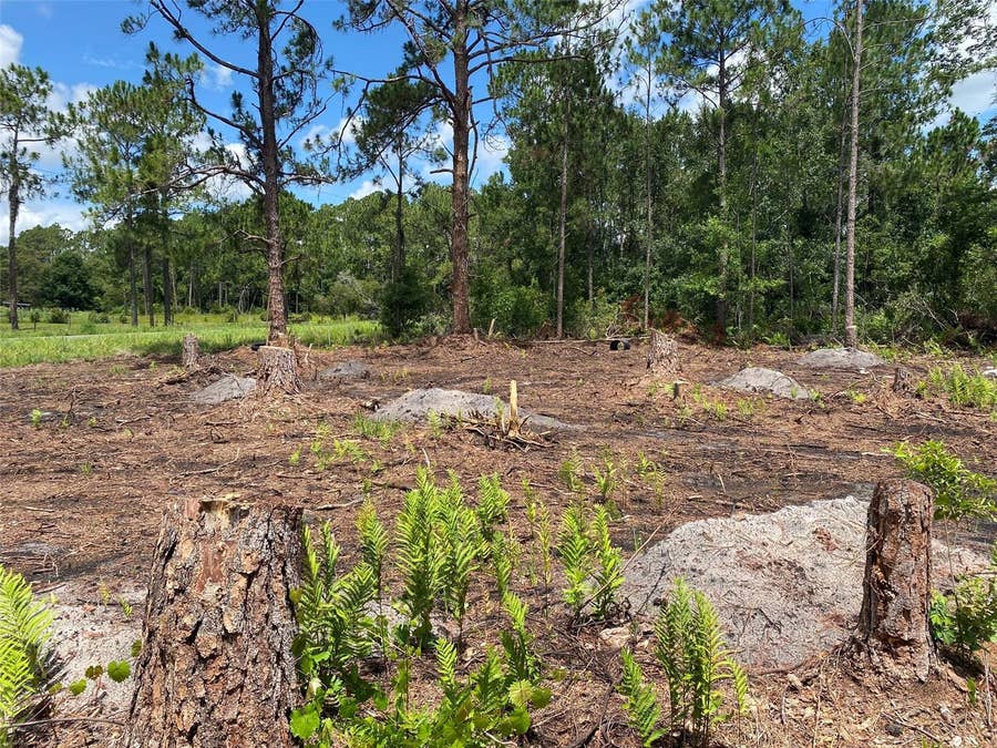 Property photo for 2101 W FROSTPROOF ROAD, Frostproof, FL