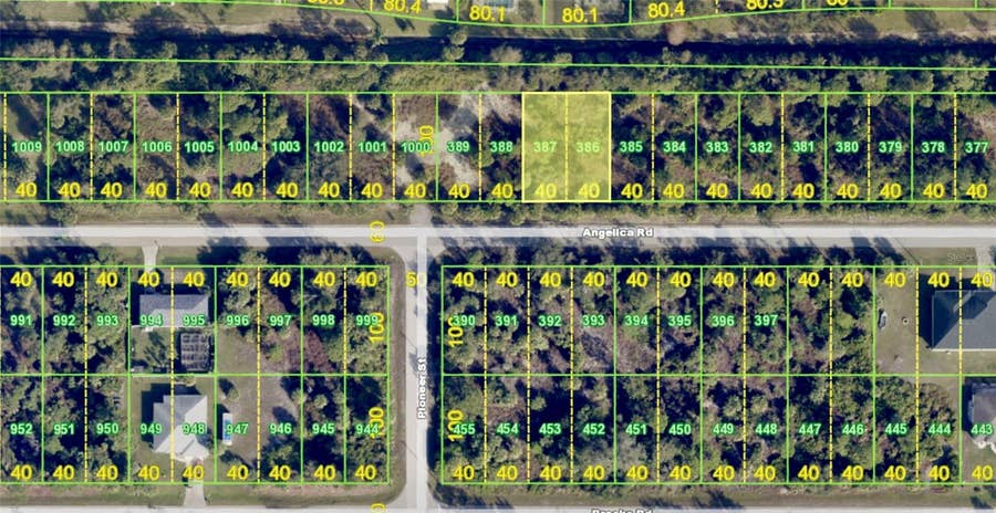 Property photo for 26296 ANGELICA ROAD, Punta Gorda, FL