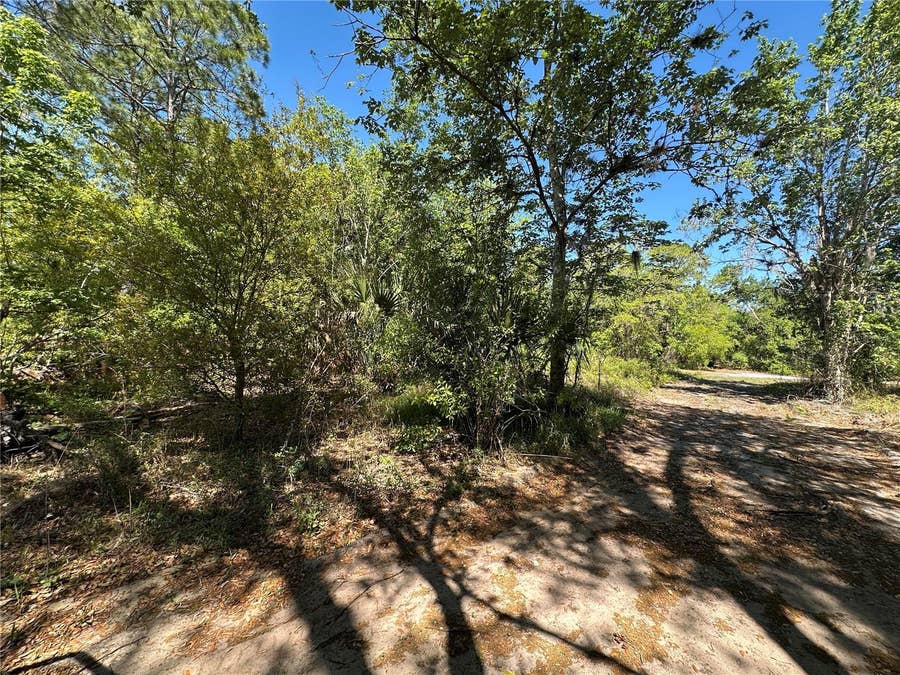 Property photo for 268 SPOONBILL DRIVE, Kissimmee, FL