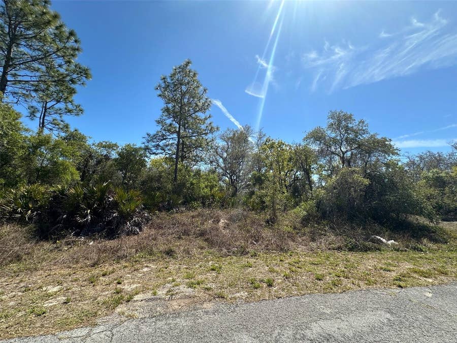 Property photo for 419 MAITLAND COURT, Kissimmee, FL