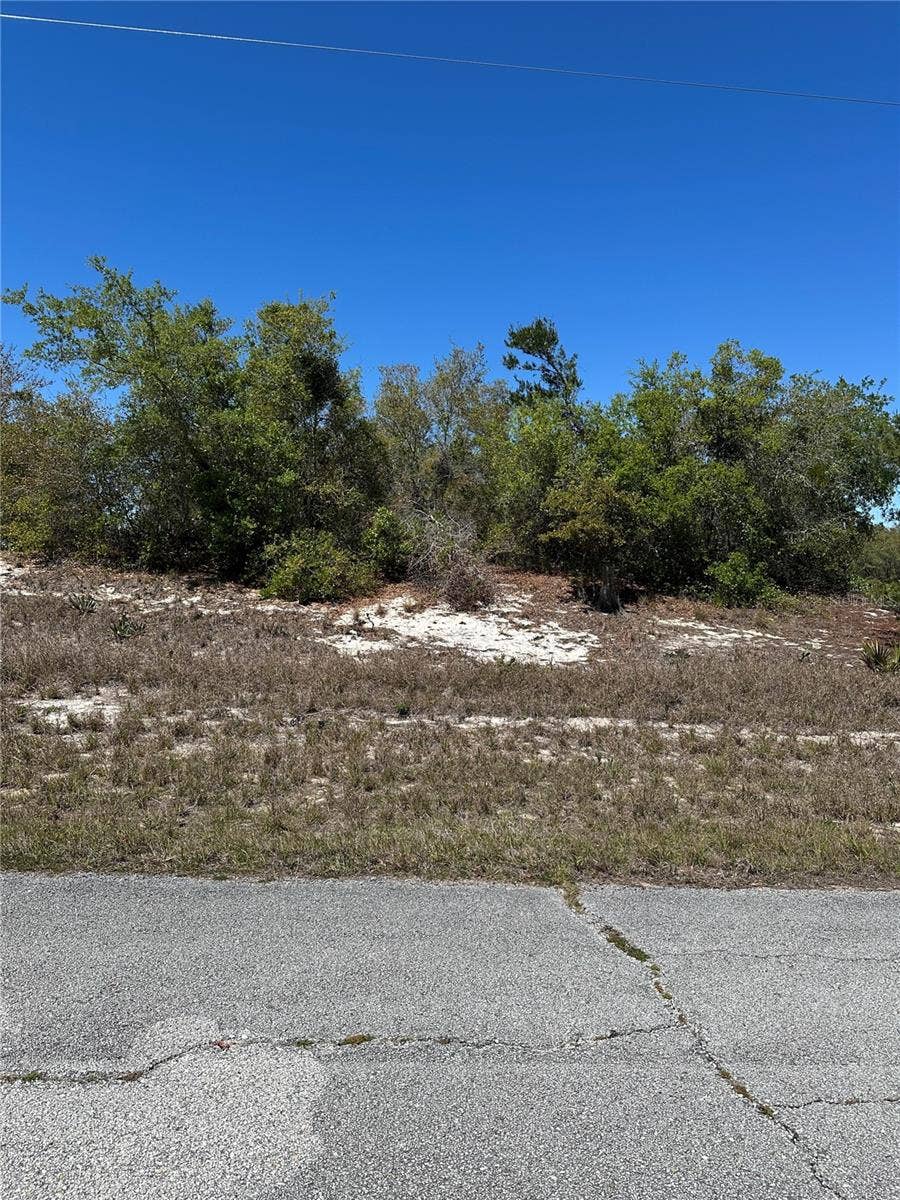 Property photo for 1386 HOMOSASSA DRIVE, Kissimmee, FL