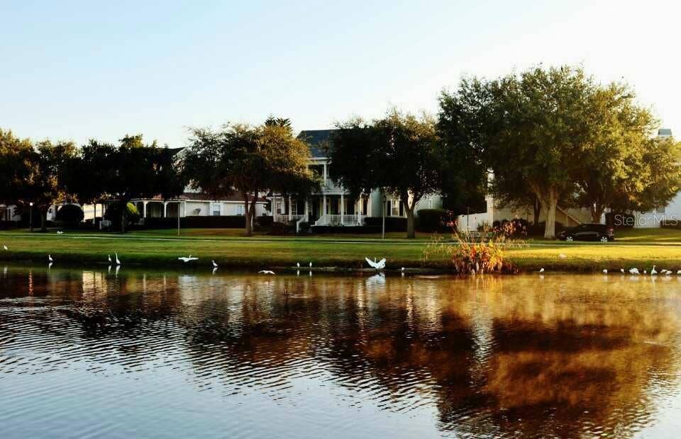 934 WESTPARK DRIVE, Celebration, FL 34747