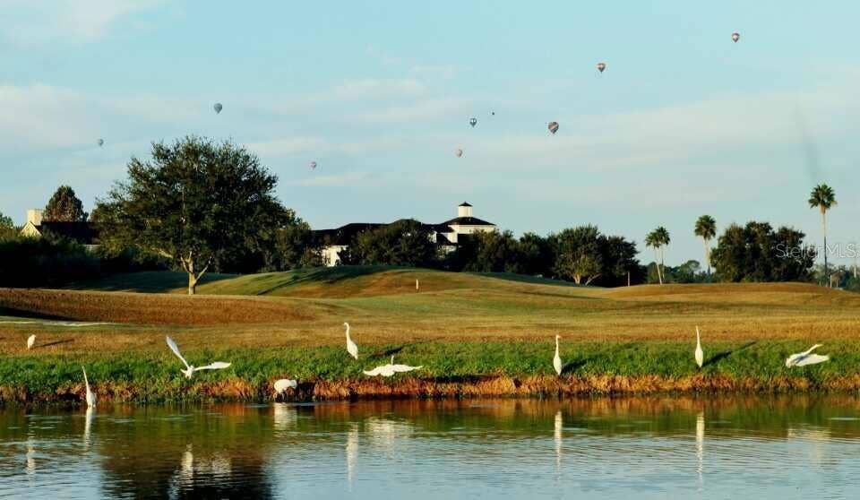934 WESTPARK DRIVE, Celebration, FL 34747
