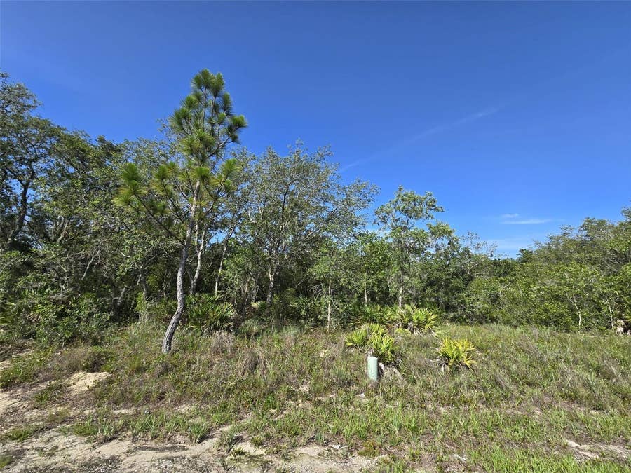 Property photo for 112 TENCH DRIVE, Kissimmee, FL