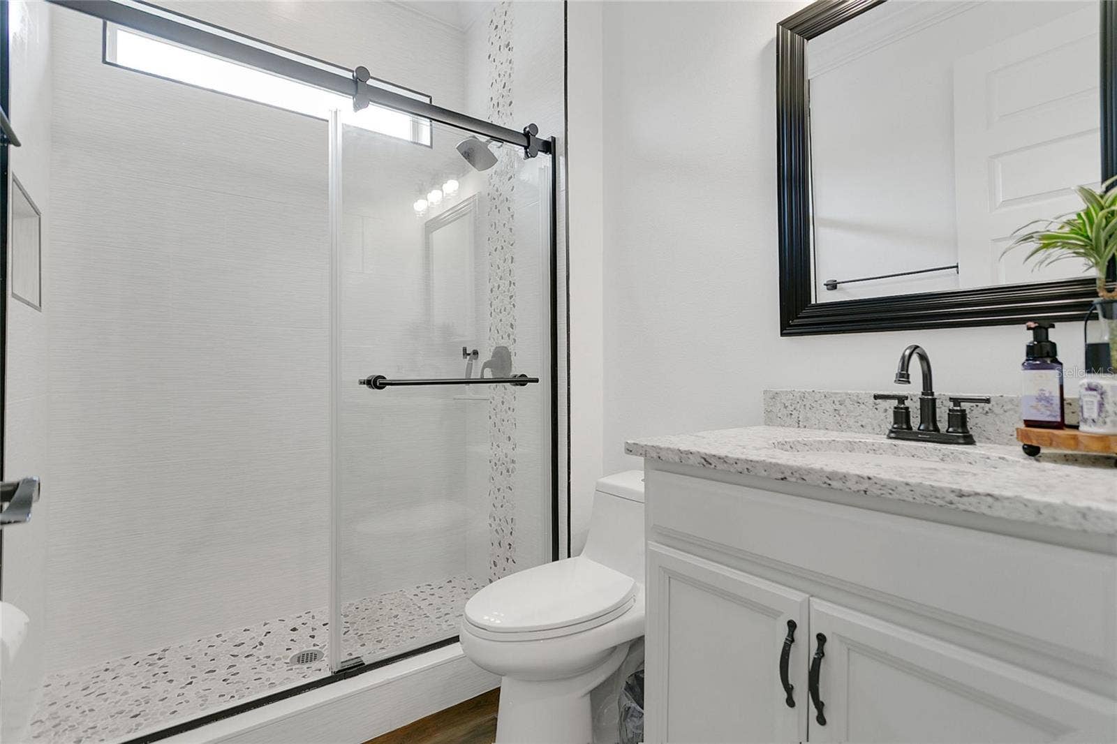 10007 LITTLE ALCOVE LOOP, Winter Garden, FL 34787 10007 LITTLE ALCOVE LOOP, Winter Garden, FL 34787
