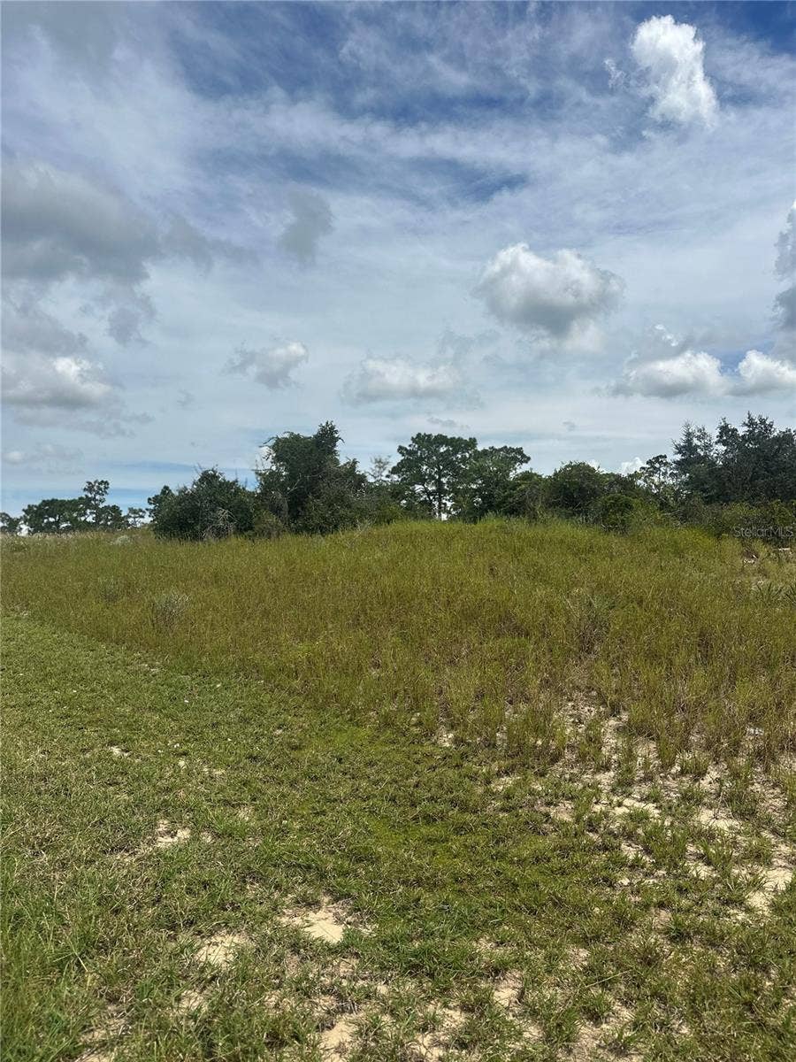 Property photo for 1348 HOMOSASSA COURT, Kissimmee, FL