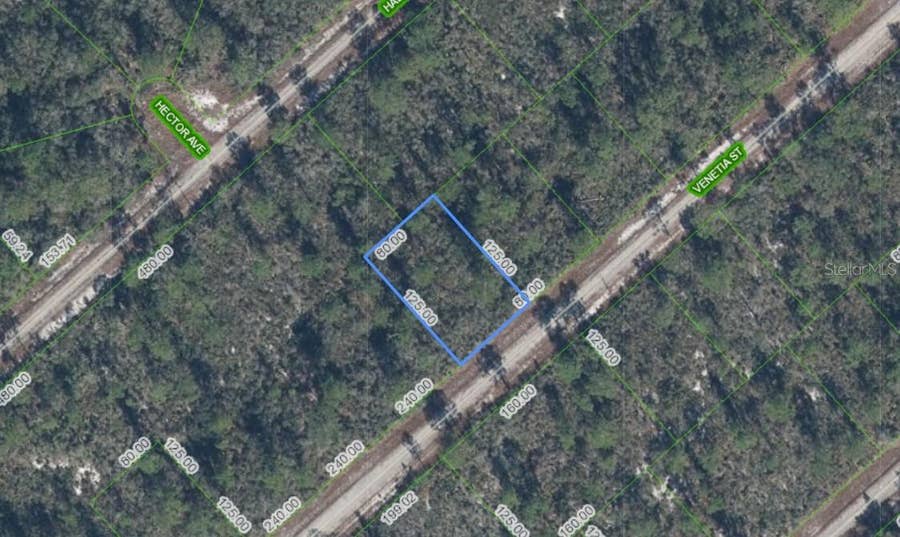 Property photo for 3535 VENETIA STREET, Lake Placid, FL