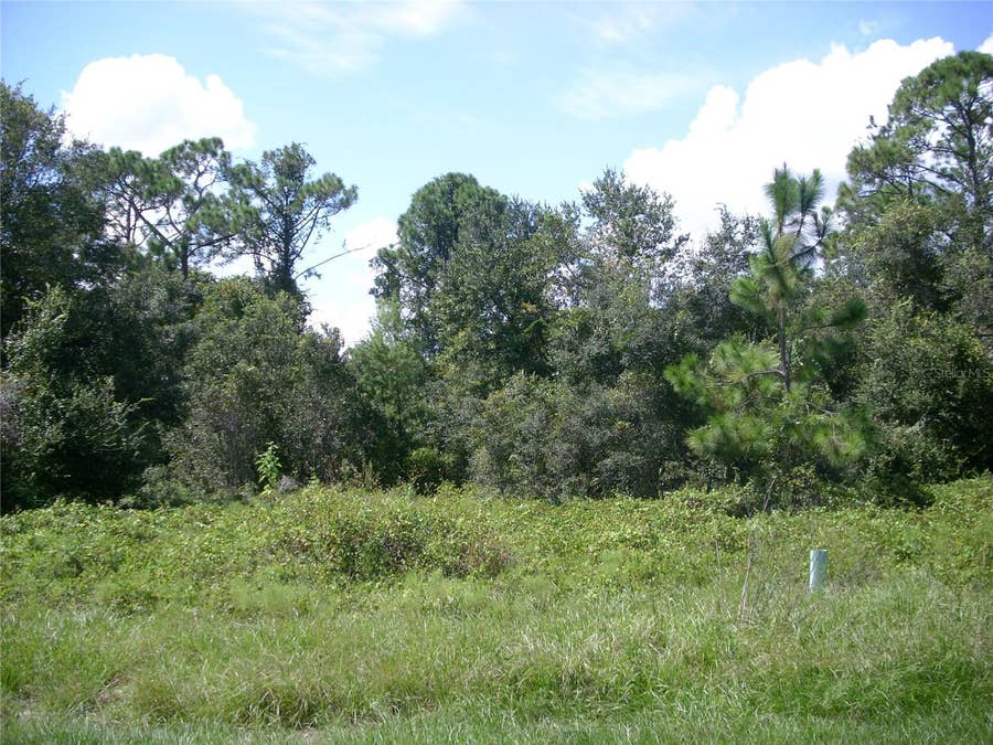 Property photo for 1343 CONGO COURT, Kissimmee, FL