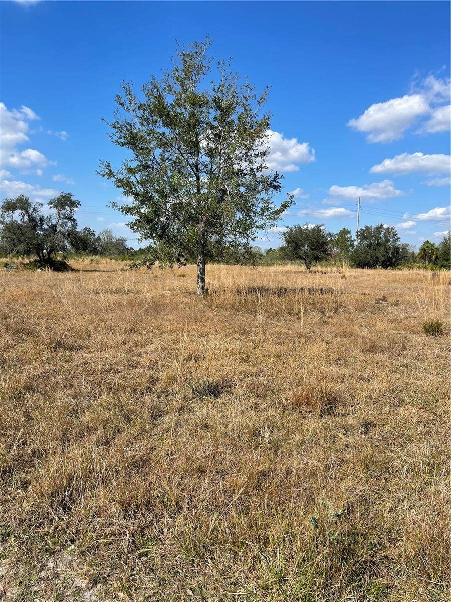 Property photo for HAMMERMILL AVENUE, Lake Wales, FL