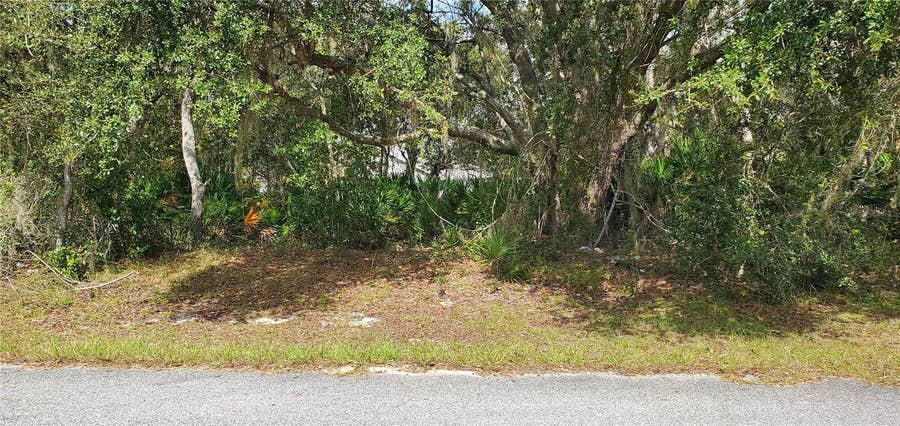 Property photo for 1227 ALAFIA WAY, Kissimmee, FL
