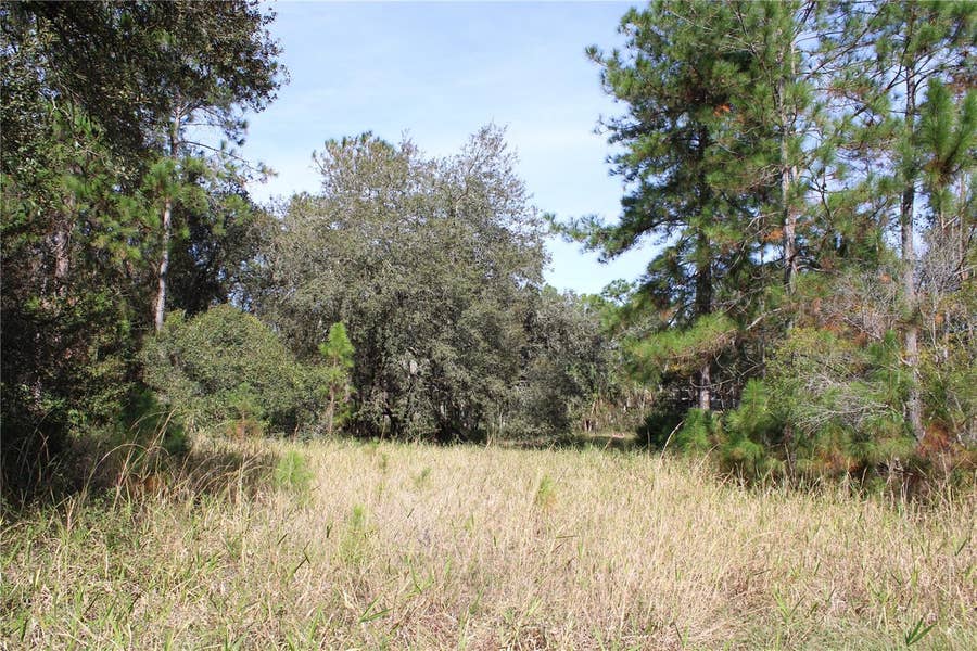 Property photo for DUBOISE DRIVE, Clermont, FL