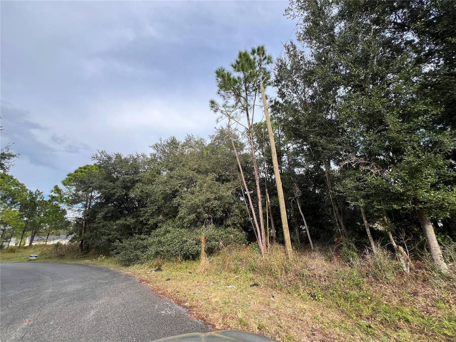 Property photo for 110 SAIL WAY, Kissimmee, FL