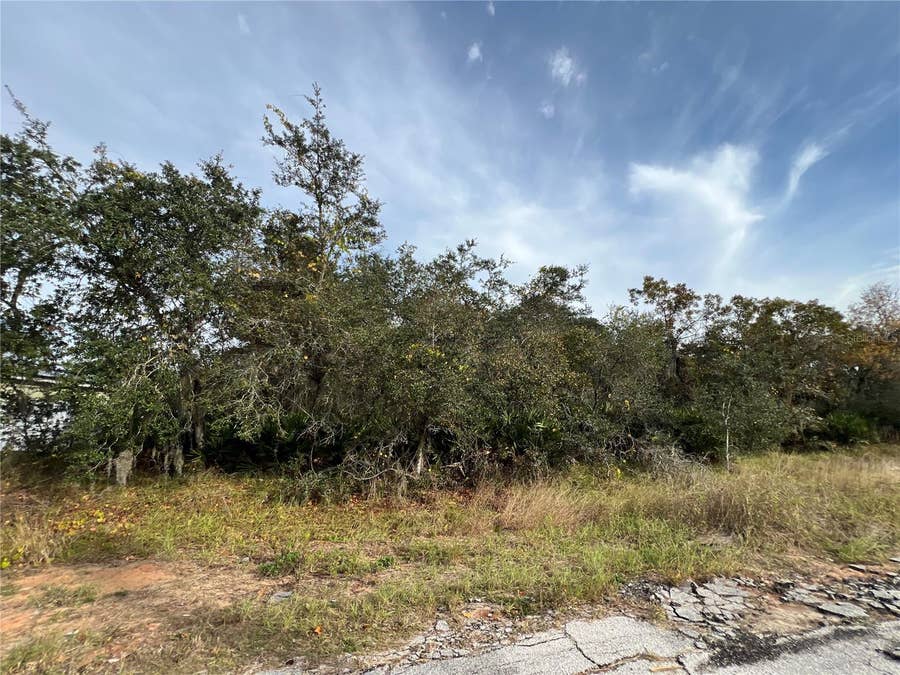 Property photo for 1205 ALAFIA WAY, Kissimmee, FL