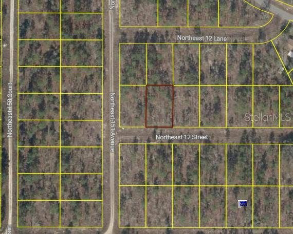 Property photo for TBD NE 12 STREET, Williston, FL