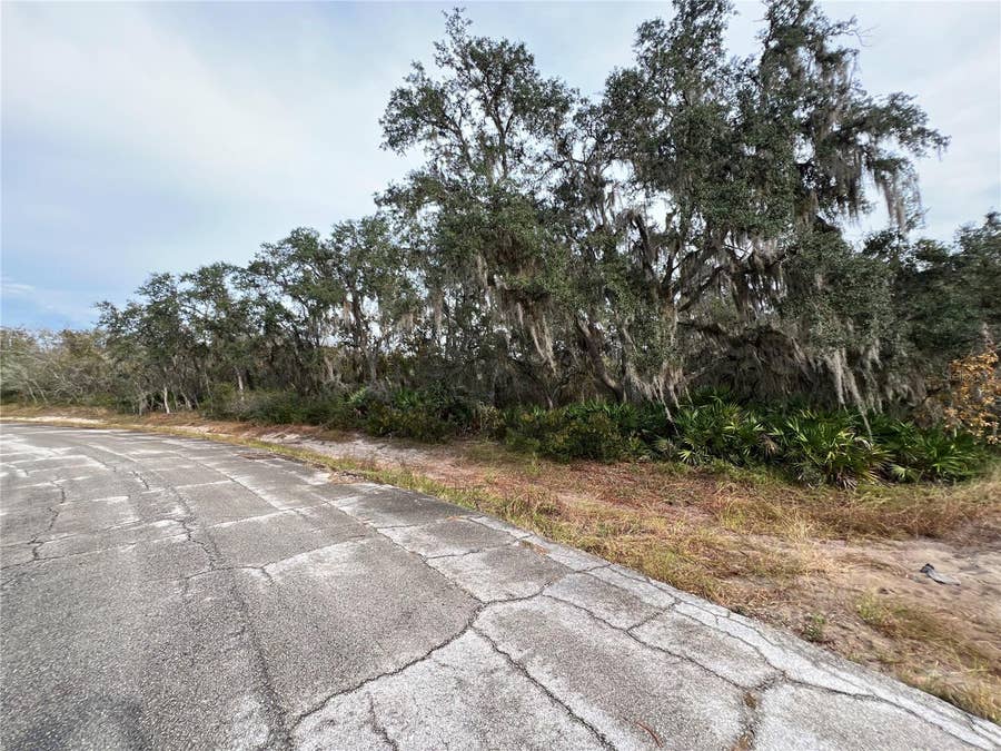 Property photo for 1251 BALTIC DRIVE, Kissimmee, FL