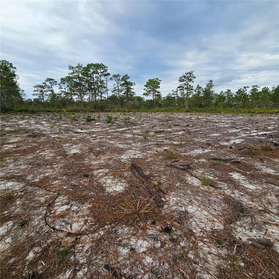 Property photo for 108 EL DORADO DR, Indian Lake Estates, FL