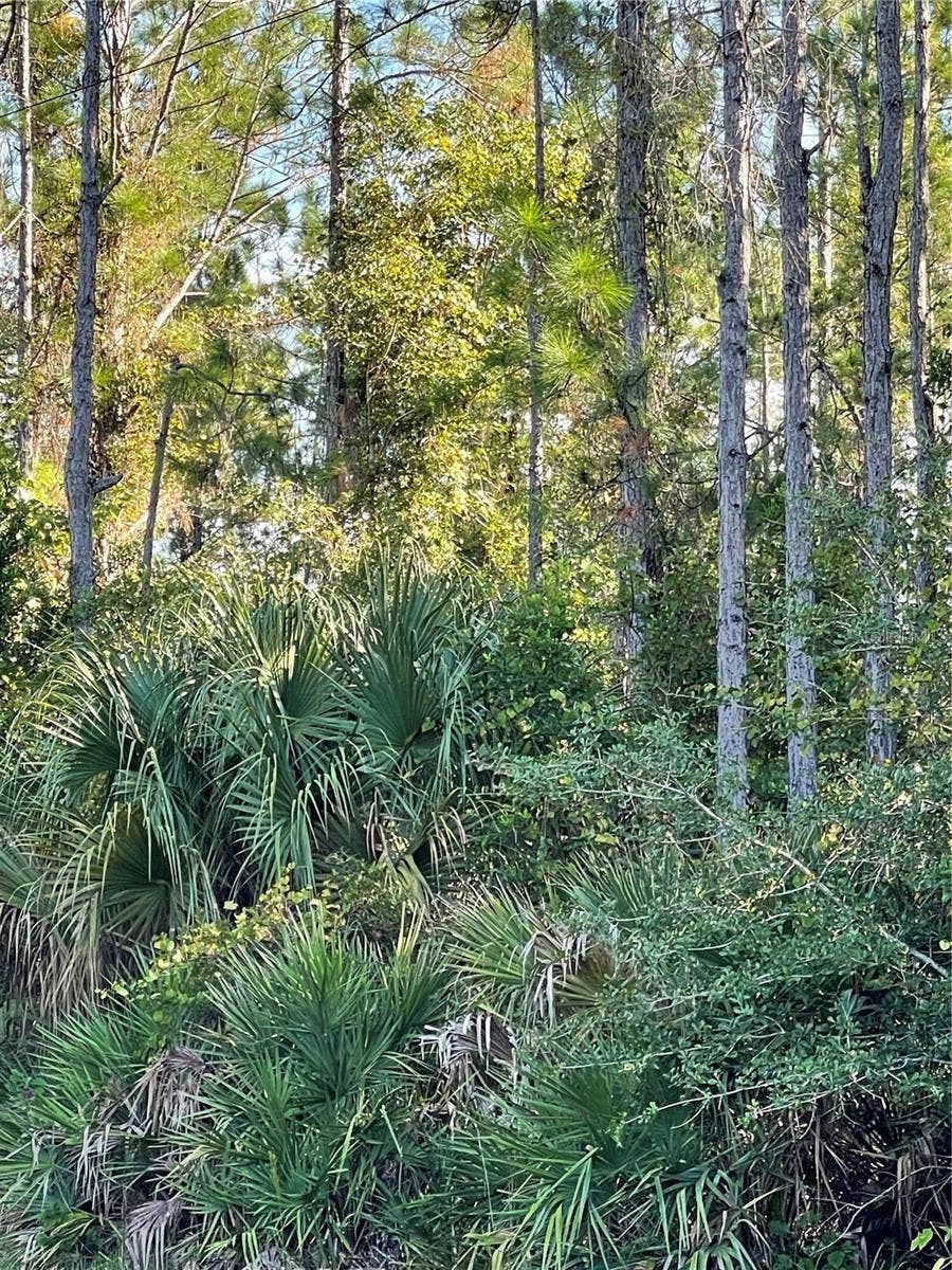 Property photo for OLD TRAIN ROAD, Deltona, FL