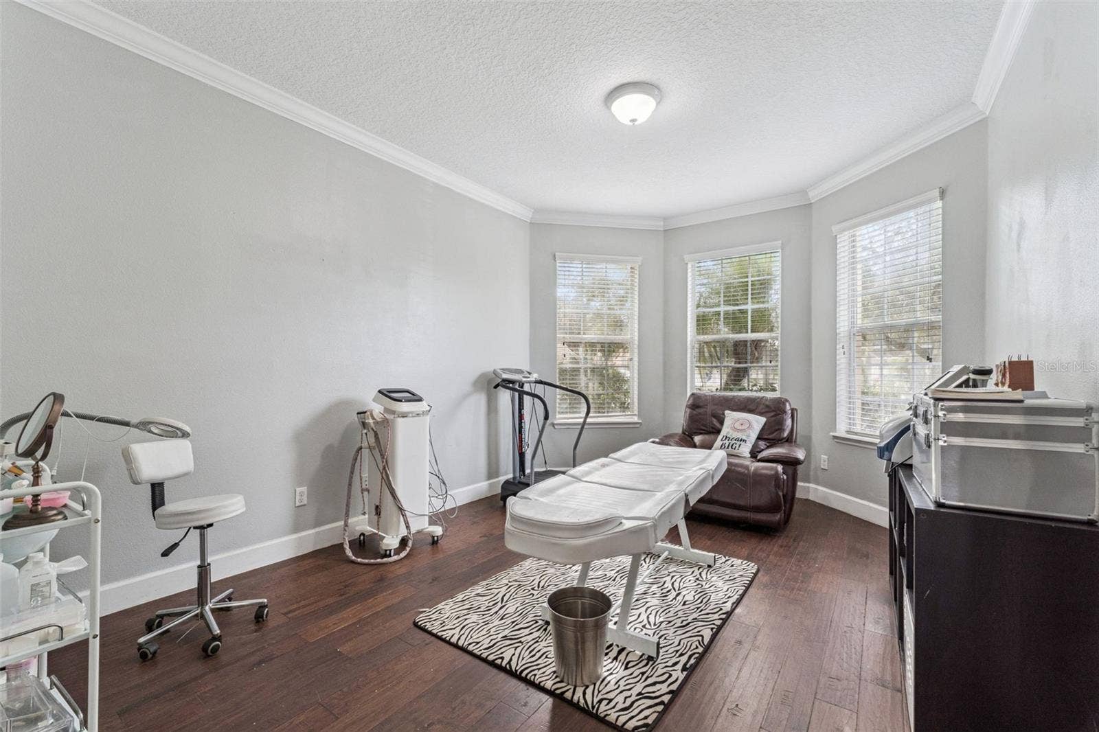 13339 ROSKIN LANE, Windermere, FL 34786 Office Den