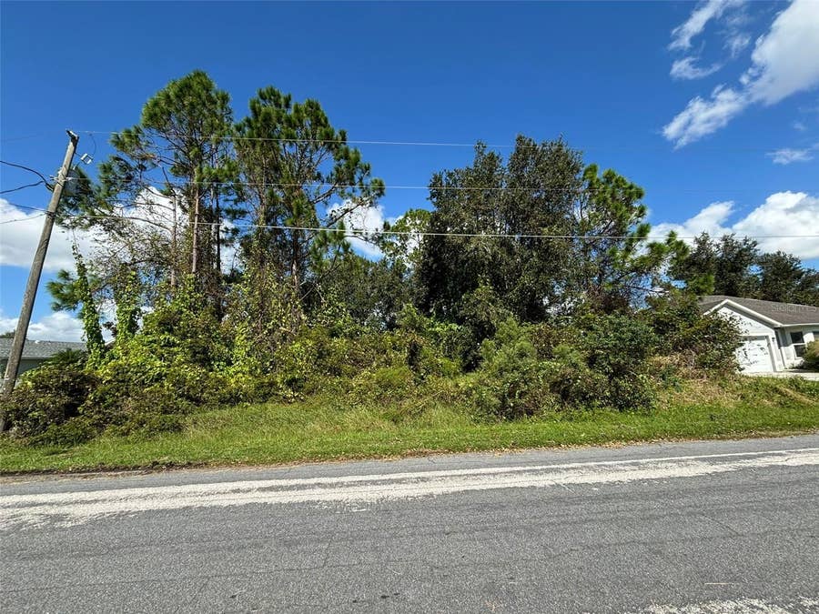 Property photo for 310 CARDIFF DRIVE, Poinciana, FL