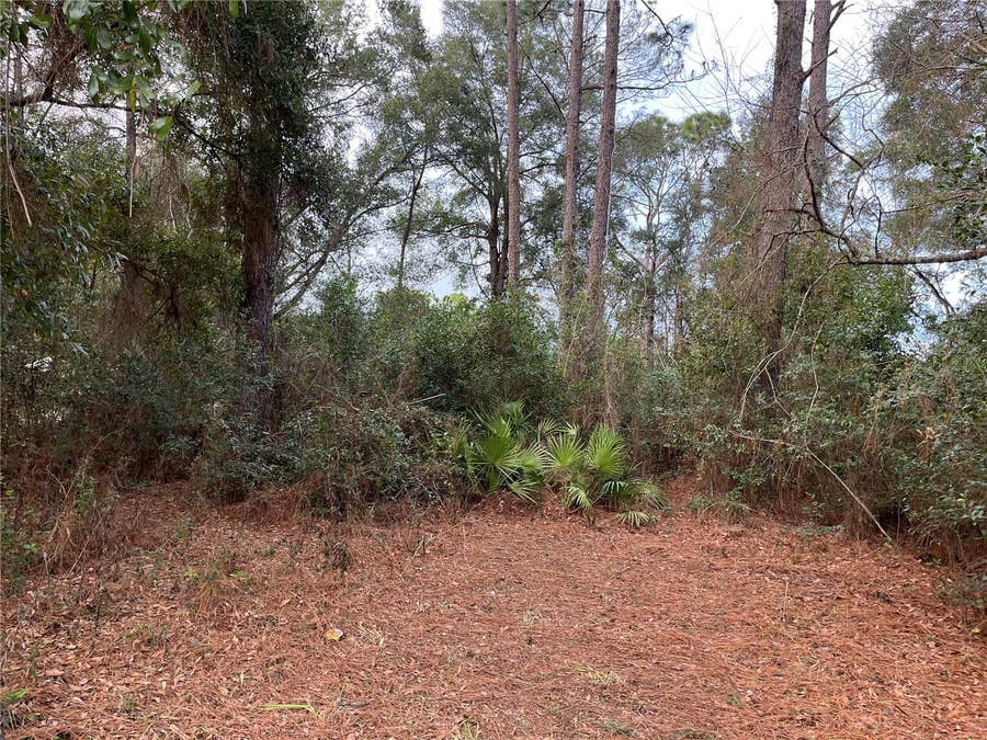 Property photo for Lots 17 & 18 NW 20TH ST, Ocala, FL