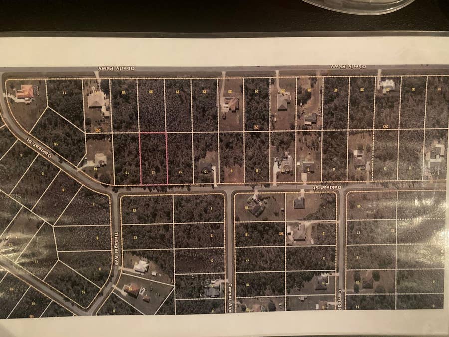 Property photo for OAKLEAF STREET, Orlando, FL