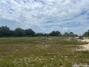 Property photo for 1322 HILLSBOROUGH DRIVE, Kissimmee, FL