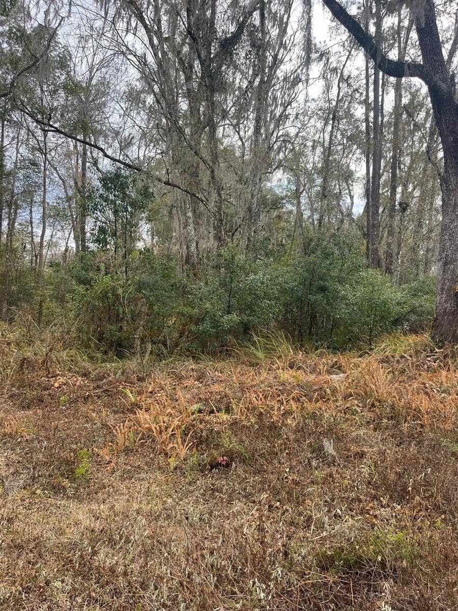 Property photo for 519 WARD AVENUE, Brooksville, FL