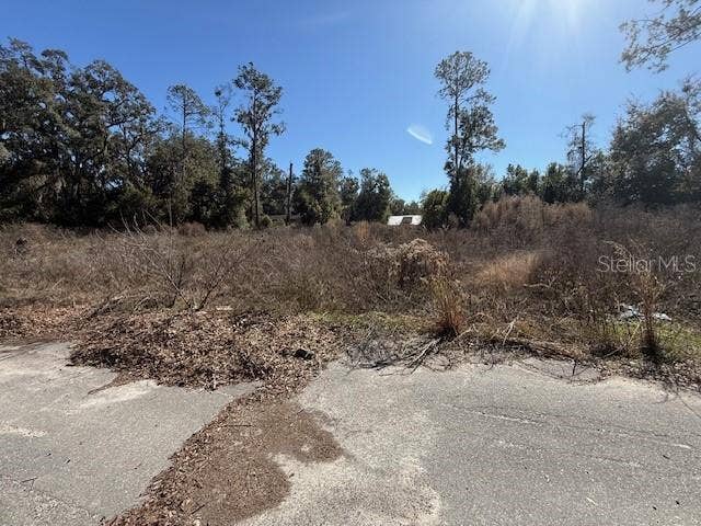 Property photo for NE SEVENTEENTH AVENUE, Trenton, FL