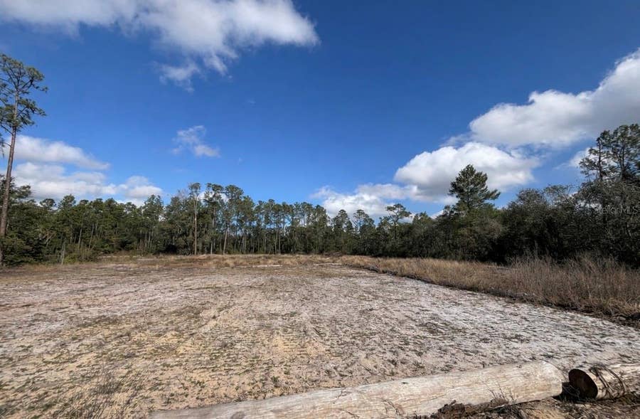 Property photo for 0 MIDWAY ROAD, Haines City, FL