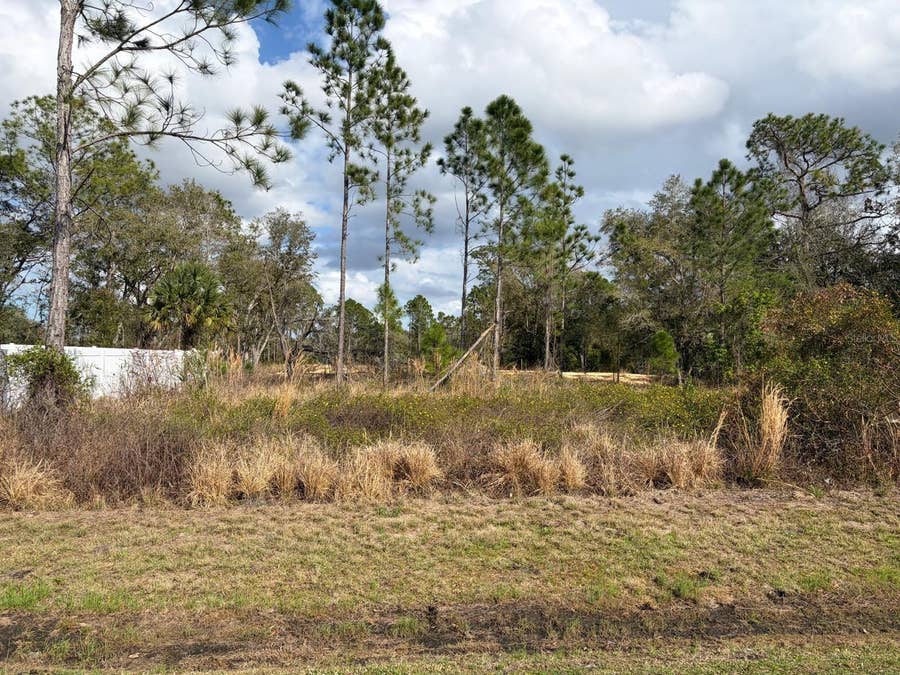 Property photo for 202 SPOONBILL DRIVE, Poinciana, FL