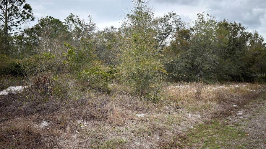 Property photo for 336 PERSHING AVENUE, Lake Placid, FL