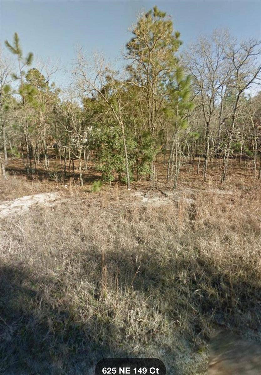 Property photo for NE 149TH CT, Williston, FL