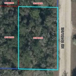 Property photo for Lot 2 NE 160TH AVE, Williston, FL