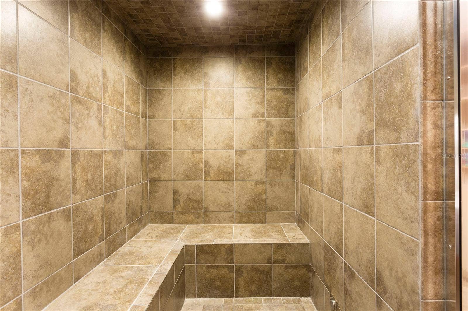 905 GOLDEN BEAR DRIVE, Reunion, FL 34747 Steam Room