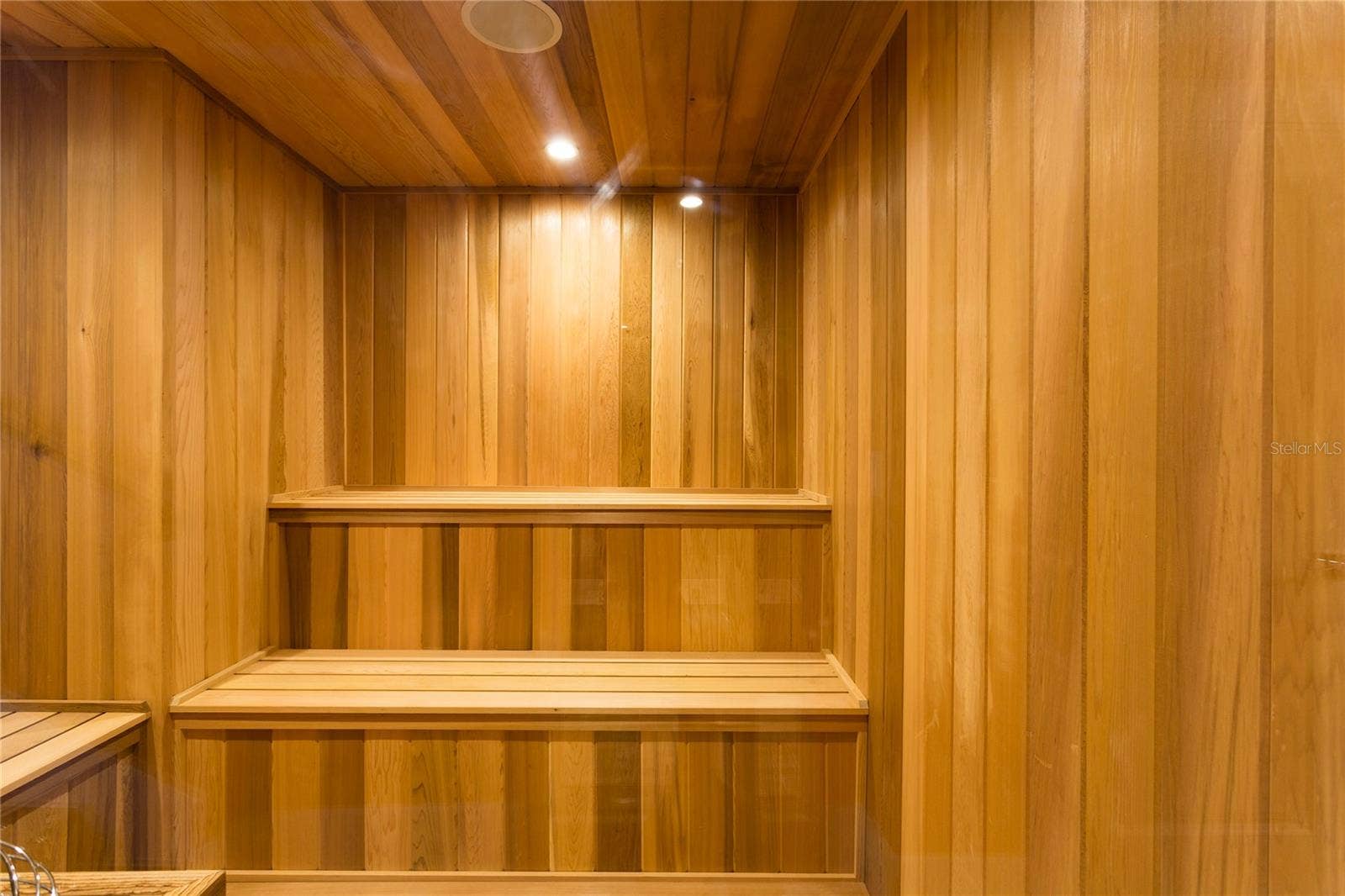 905 GOLDEN BEAR DRIVE, Reunion, FL 34747 Sauna