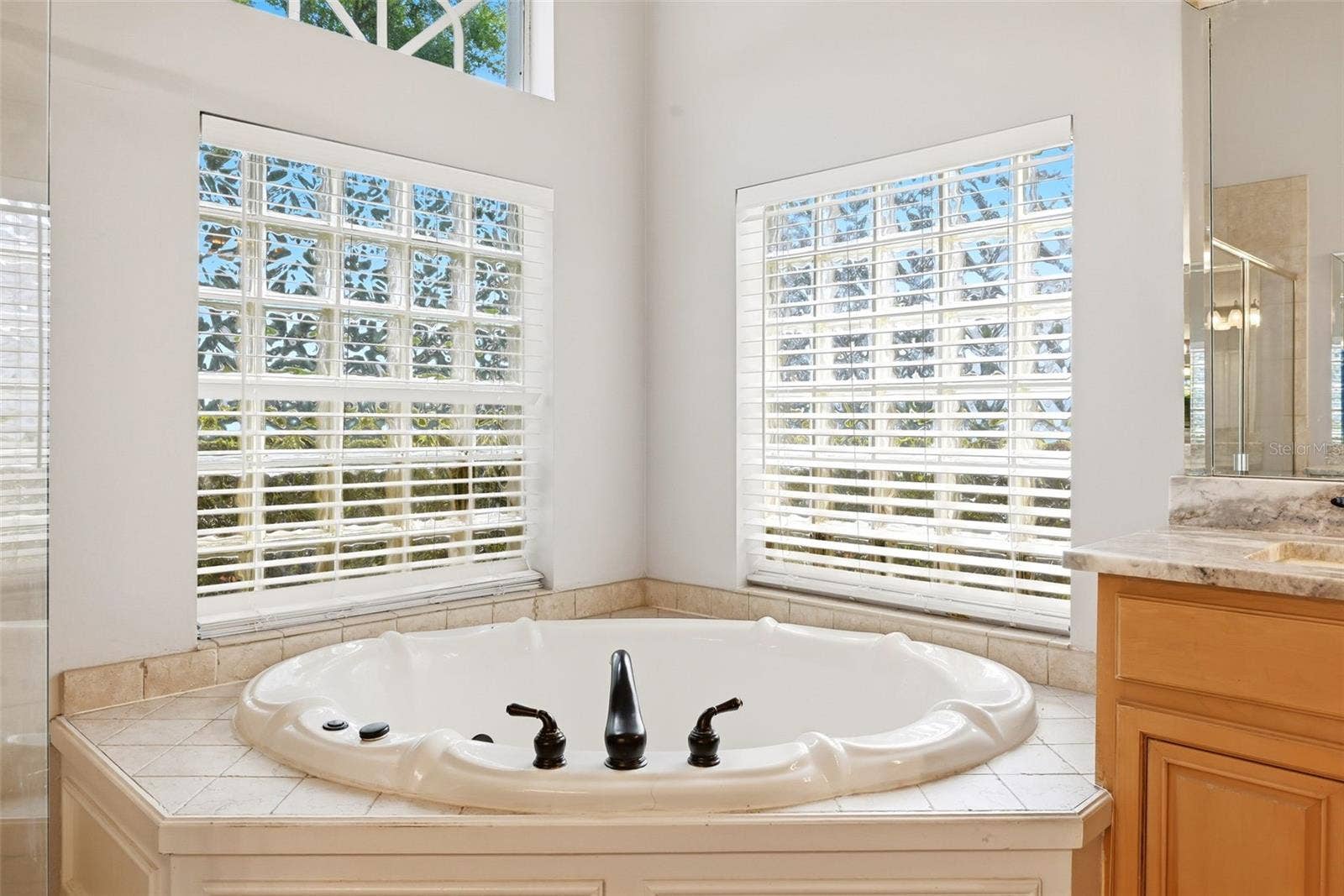 9119 BALMORAL MEWS SQ, Windermere, FL 34786 Primary Bathroom