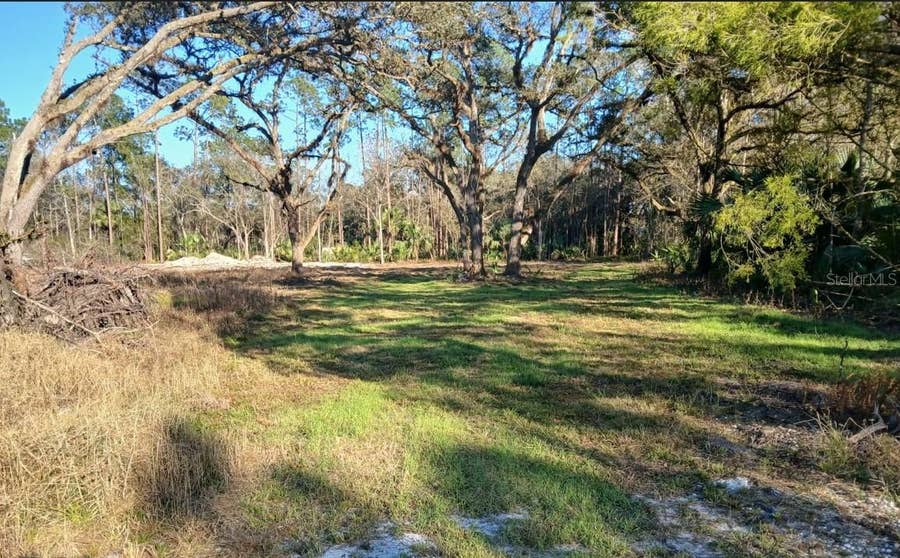 Property photo for 1013 CUPID AVENUE, Christmas, FL