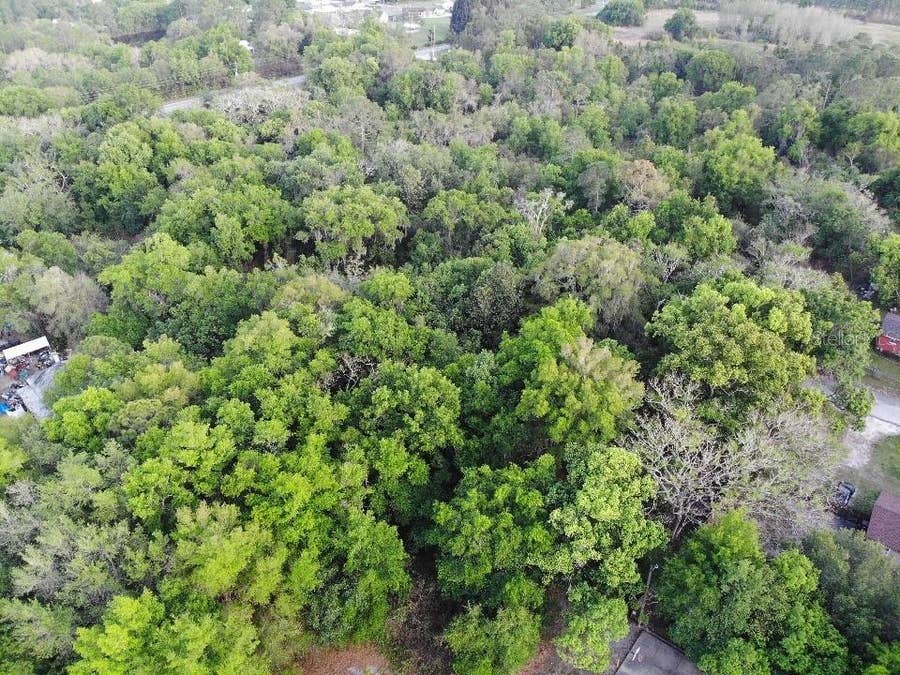 Property photo for 2156 OLD HICKORY TREE ROAD, St Cloud, FL