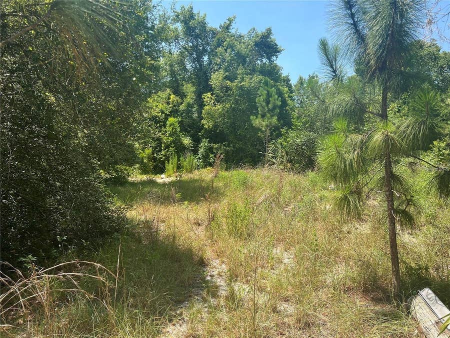 Property photo for 40314 LIME STREET, Eustis, FL